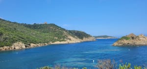 Tour de l'île de Port-Cros et découverte de sa flore - Hyères - 6