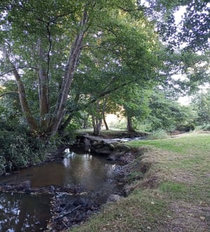 Alligny-en-Morvan et excursion charmante dans le bocage - STEPHANE - 4