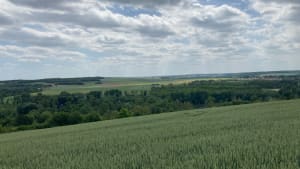 La Petripontaine - Trois-Rivières - 13
