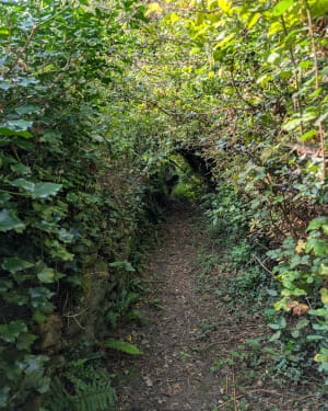 Chemins de Canteloup - Canteloup - 3