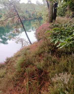 Bernugat et carrière de St-Gildas - Saint-Gildas-des-Bois - 23