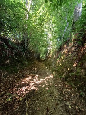 Autour de l'Abbaye Saint Victor de Cerisy la Forêt - Cerisy-la-Forêt - 10