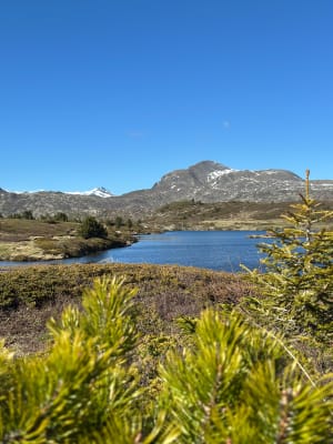 Montée au lac Fourchu depuis le Poursollet - La Morte - 28