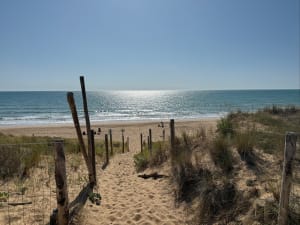 Balade matinale au marais d'Olonne - Les Sables-d'Olonne - 6