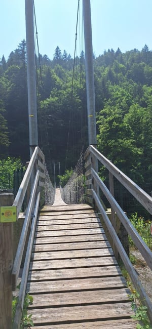 Découverte de la Bienne par Doye Gabet - Hauts-de-Bienne - 9