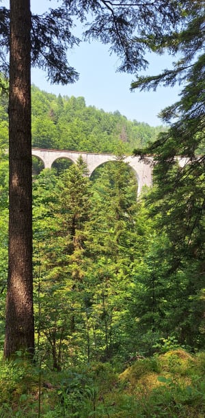 Découverte de la Bienne par Doye Gabet - Hauts-de-Bienne - 10