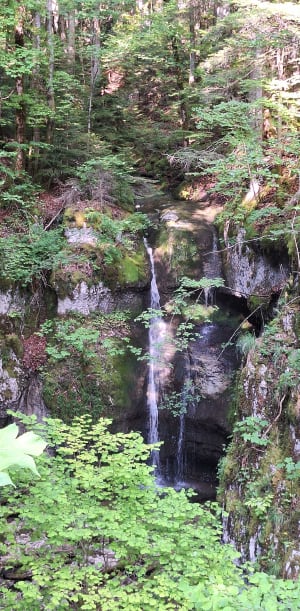 Découverte de la Bienne par Doye Gabet - Hauts-de-Bienne - 12