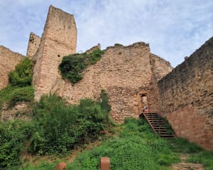 Ribeauvillé les 3 châteaux - Ribeauvillé - 5