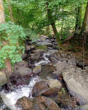 Balade à Mortain - Mortain-Bocage - 18