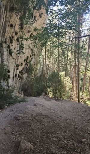 Belvédère de Plein Voir - Moustiers-Sainte-Marie - 20