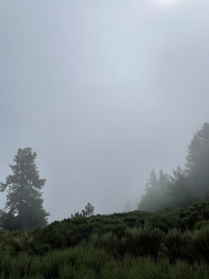 Coll del Pam depuis Fameils - Pauline - 17
