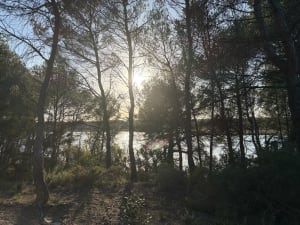 Ontspannende wandeling in Calas en rond het Réaltor-bekken - Le Clos des Prieurs, Calas - 36