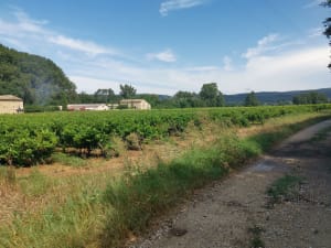 Sautadet-watervallen en extra's in La Roche-sur-Cèze - Saint-Michel-d'Euzet - 153