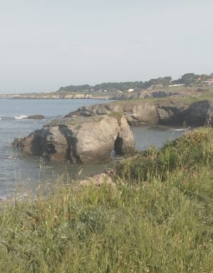 Préfailles et la Pointe de Saint-Gildas - Préfailles - 5