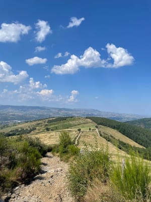 Petite balade champêtre depuis la Croix du Mazet - Sainte-Croix-en-Jarez - 6