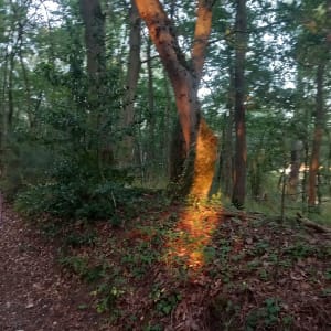 Déconnecter et prendre son temps dans la vallée de Villalet - Villalet - 18