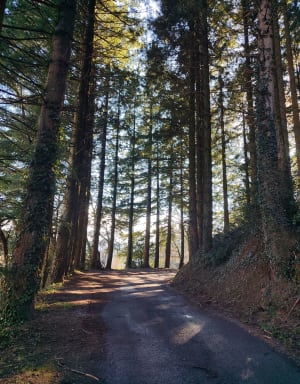 L'Arn par gorge et forêts - Charlène - 9