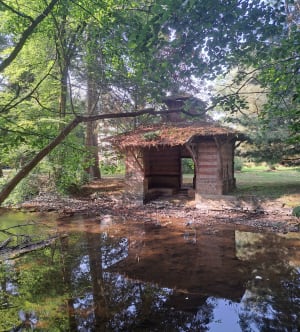 La Roche d'Oëtre et la Rouvre par le sentier des méandres - Saint-Philbert-sur-Orne - 5