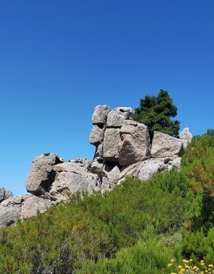 Monte Astu depuis Lama - CHANTAL - 12