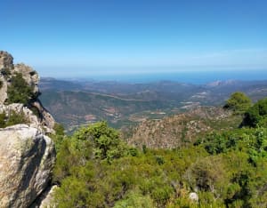 Monte Astu depuis Lama - CHANTAL - 13