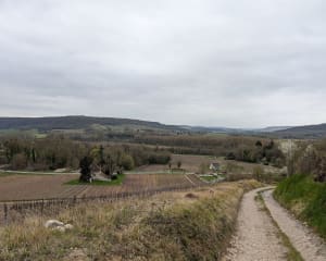 Autour de Barzy-sur-Marne - Barzy-sur-Marne - 2