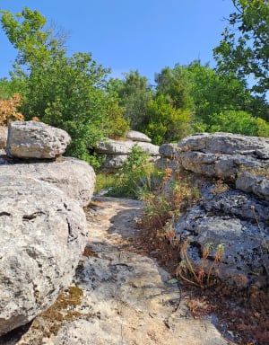 Balade sur les chemins caillouteux de Labeaume - Labeaume - 12