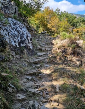 Triple 7 en Vésoles springen vanuit het gehucht Langlade - Langlade, Riols - 5
