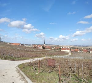 Balade autour de Chamery - Chamery - 6