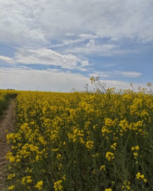 Les Molières - Pecqueuse - Les Molières - 5