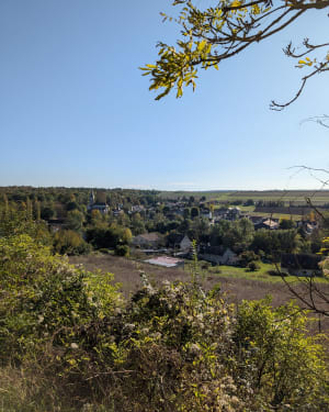 Balade champêtre de Davron à Thiverval et saut de lapin - Davron - 15