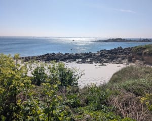 Grand tour de l'île de Batz et beauté de ses plages - Île de Batz - 68