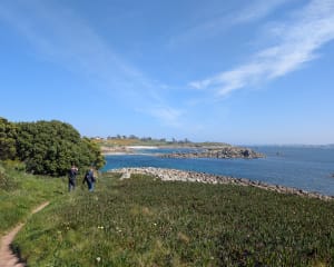 Grand tour de l'île de Batz et beauté de ses plages - Île de Batz - 69