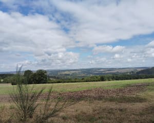 Cœur de la Suisse Normande et Val de Rouvre à VTT - Saint-Philbert-sur-Orne - 5