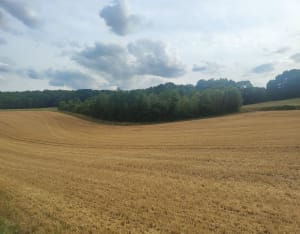 Entre Chapelles et Lavoirs à Mantes-la-Ville - Guerville - 7