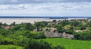 Balade familiale autour de Plassac - Plassac - 7