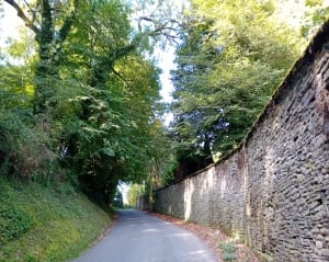 Châteaux et parcours semi-urbain à La Tour-du-Pin - La Tour-du-Pin - 4