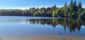 Rando des escargots par l'Etang du Chatenêt - Boisseuil - 6