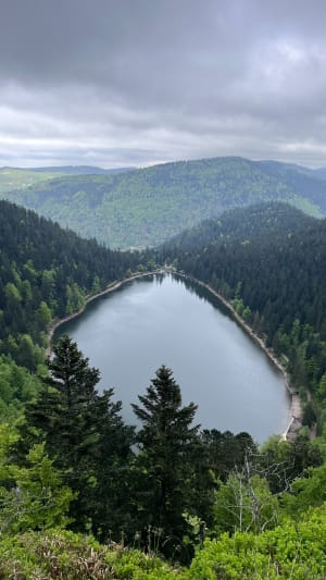 Raven Lake en zijn uitzichtpunt - La Bresse - 82