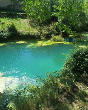 Excursion viticole à la cascade de La Roque - Salles-la-Source - 3