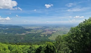 Sommet du Hartmannswillerkopf et Première Guerre mondiale - Wattwiller - 3