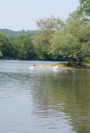 Boucle de Dordogne Siorac - Siorac-en-Périgord - 5