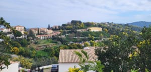 Village de Tanneron et douce autopsie du mimosa - Tanneron - 5