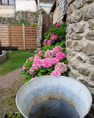 Découverte des Alpes Mancelles - Saint-Céneri-le-Gérei - 5