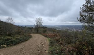 Wandeling aan de voet van La Rhune in Ascain - Ascain - 10