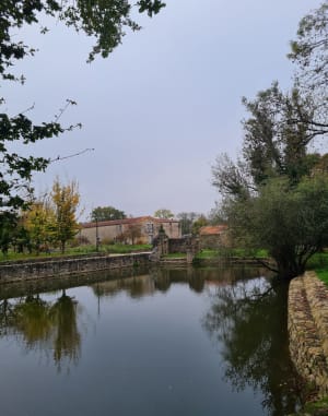 Boucle autour du Val de la Chézine par le bassin - Saint-Herblain - 9