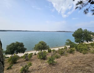 Tour du lac de Villeneuve-de-la-Raho - Montescot - 6