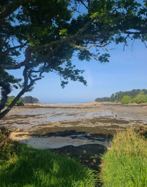 De la plage de Ster Greich à la pointe de la Jument - Trégunc - 12