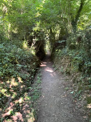 Boucle de Sainte Barbe - Plestin-les-Grèves - 15