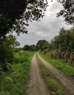 Balade entre deux rives Poiré sur Vie - Le Poiré-sur-Vie - 8