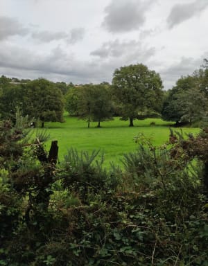 Balade entre deux rives Poiré sur Vie - Le Poiré-sur-Vie - 10